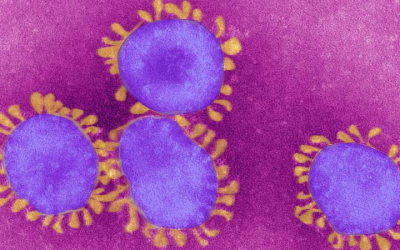 Coronavírus: 10 indicadores para entender a situação atual do Brasil na pandemia