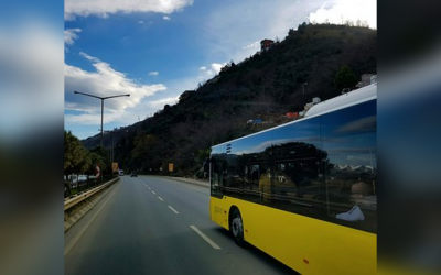 Bahia tem mais 10 cidades com transporte intermunicipal suspenso e total chega a 246; veja lista