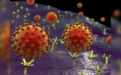 CRISPR identifica genes hospedeiros que ajudam na invasão viral