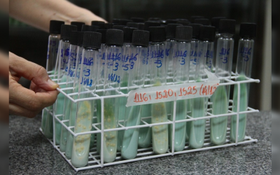 Com 65 presos em tratamento de tuberculose, Iapen libera compra de 100 kits para exames no AC