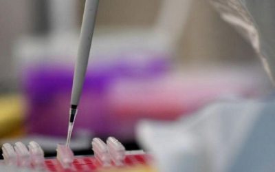 Japão começará a testar vacina humana até o final do mês