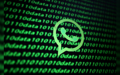 Para ONU e OEA, projeto de fake news contraria acordos