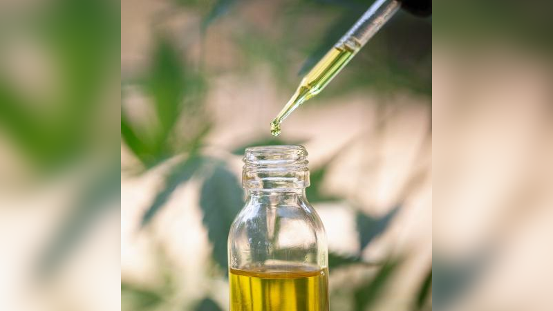 Estudo em ratos indica que derivado da maconha é eficiente contra covid-19