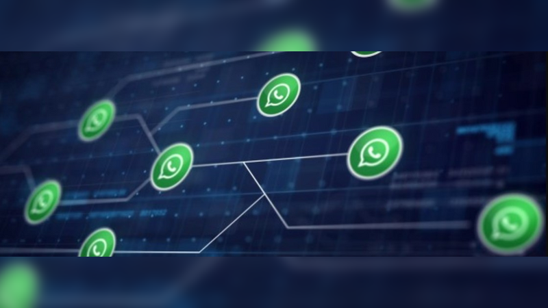 WhatsApp: estudantes brasileiros criam bot para combater Fake News