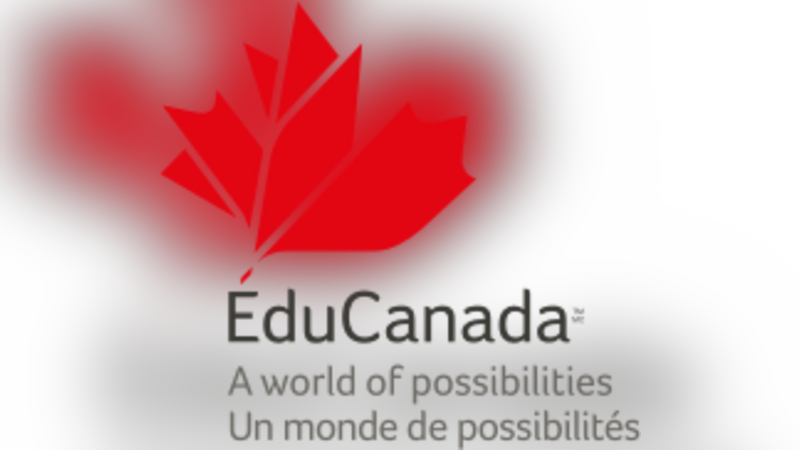 Feira de educação virtual apresenta escolas para intercâmbio no Canadá
