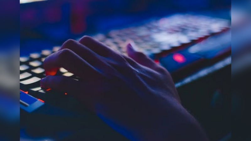 As milícias digitais acham que a Internet é terra de ninguém