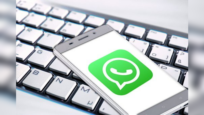 Brasileiros apoiam que WhatsApp envie à Justiça dados de quem espalha fake news