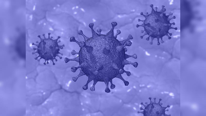 OMS e Wikipédia se juntam para combater a desinformação na pandemia