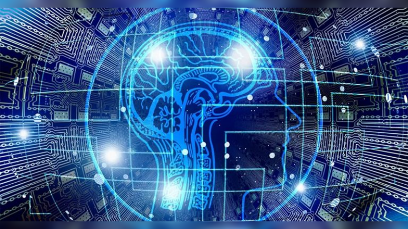 Pesquisa alia jornalismo e tecnologia para divulgar informações reais