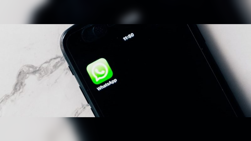 Por WhatsApp, usuários agora podem pedir checagem de informações falsas