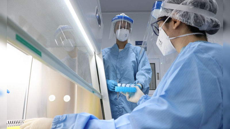 Fiocruz inicia testes com vacina da BCG