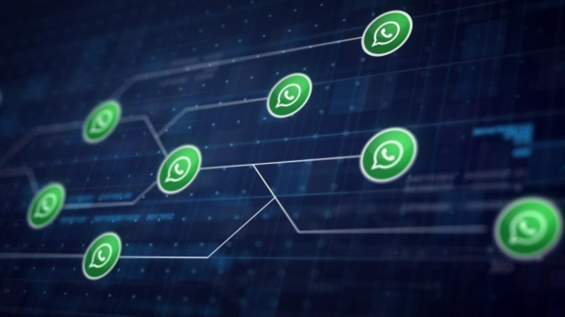 Eleições 2020: WhatsApp bane mais de mil contas por disparo em massa